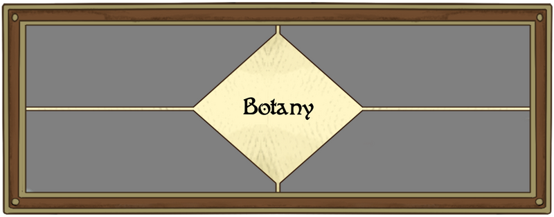 File:Header Botany.png