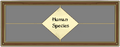 Thumbnail for version as of 16:03, 25 August 2025